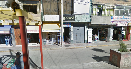 Tienda Usagii