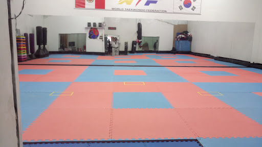 Escuela de Artes Marciales Espíritu Indomable