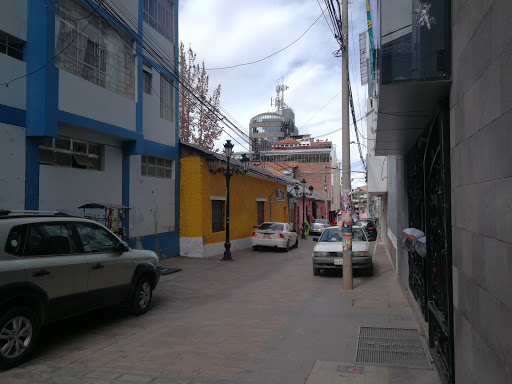 Facultad de Ciencias Jurídicas y Políticas de la Universidad Nacional del Altiplano de Puno