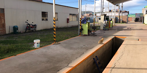 Revisiones Tecnicas Vehiculares