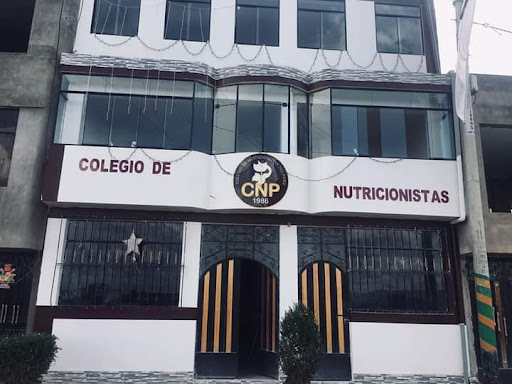Colegio de Nutricionistas del Perú CR VII Puno