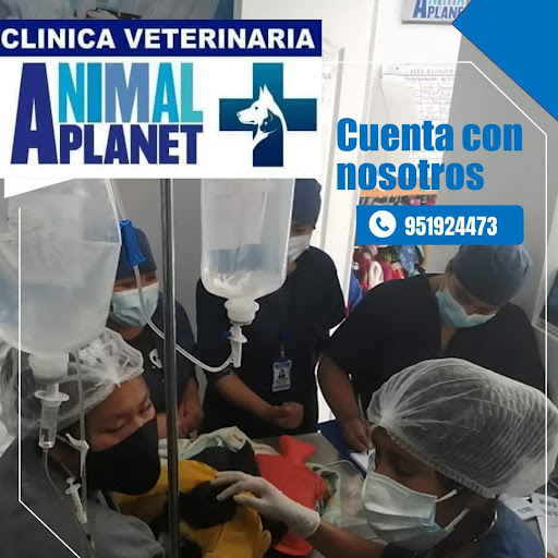 HOSPITAL VETERINARIO ANIMAL PLANET