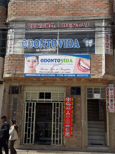 ODONTOVIDA PUNO