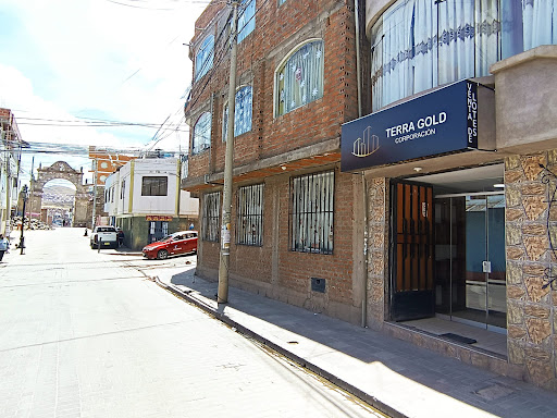 CORPORACION TERRA GOLD